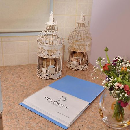 Polymnia Apartments Lassi لاسي المظهر الخارجي الصورة
